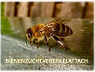 Logo BIENENZUCHTVEREIN FLATTACH 
